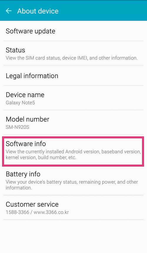 Enable Developer Options