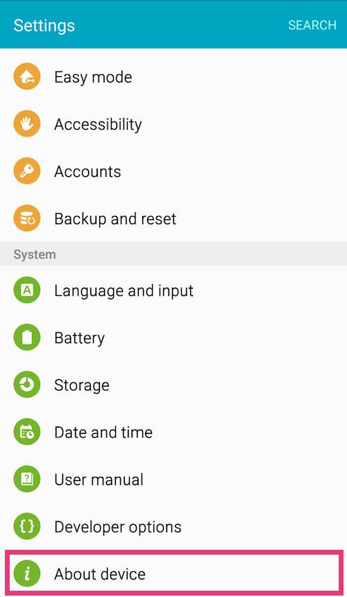 Enable Developer Options
